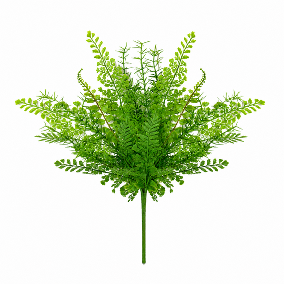 BH122 Fern Bush 20" PK 12