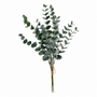 BNDL102   Euclayptus Bundle 18"  x3 PK 12