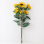 BNDL103 Sunflower Bundle 34" PK 6
