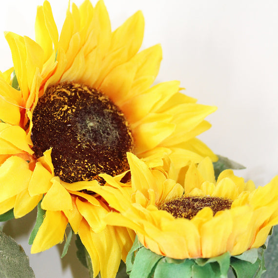 BNDL103 Sunflower Bundle 34" PK 6