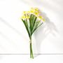 BNDL105 15" Daffodil PK 24