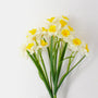 BNDL105 15" Daffodil PK 24