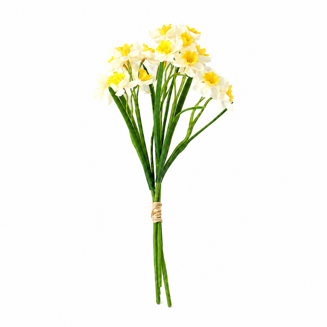 BNDL105 15" Daffodil PK 24