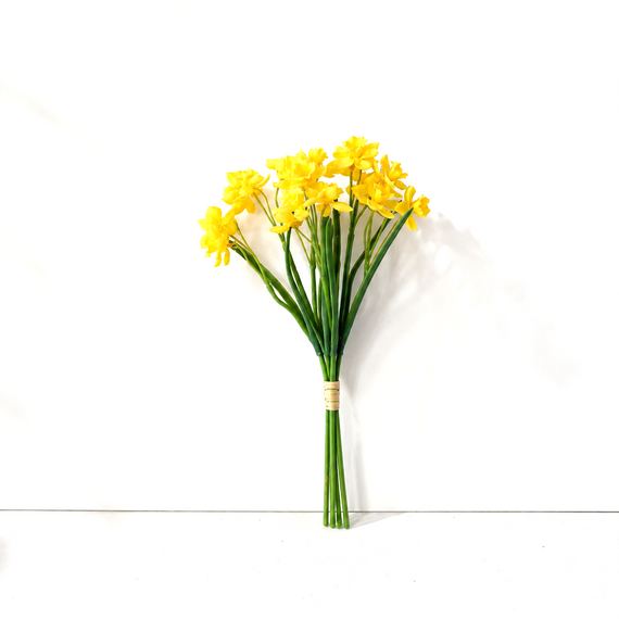 BNDL105 15" Daffodil PK 24