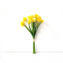 BNDL105 15" Daffodil PK 24