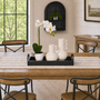 PTF100 Potted Phalaenopsis 19" PK 2