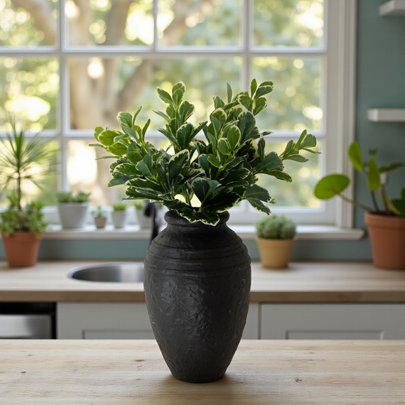 CM118 Ceramic Container - Black 8.25" x 8.25" x 13" PK 2