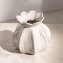 CM172 Ceramic Vase PK 12