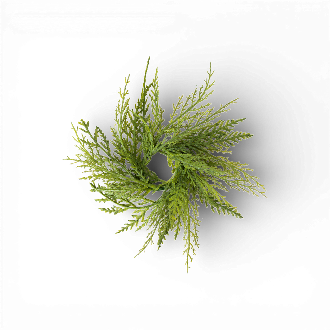 CP108 Mixed Cedar Accent Ring 1.5" PK36