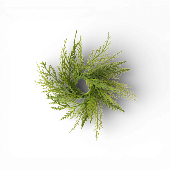 CP108 Mixed Cedar Accent Ring 1.5" PK36