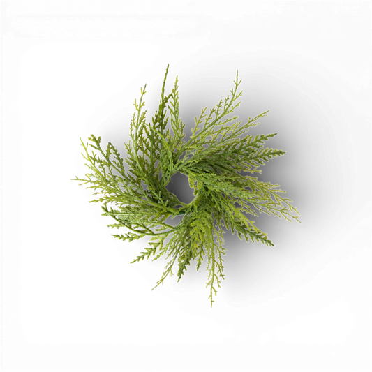 CP108 Mixed Cedar Accent Ring 1.5" PK36