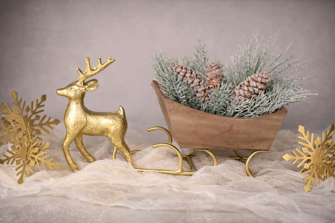 PN113 Pinecones in PVC box 1.5" x 1.5" x 4" PK4