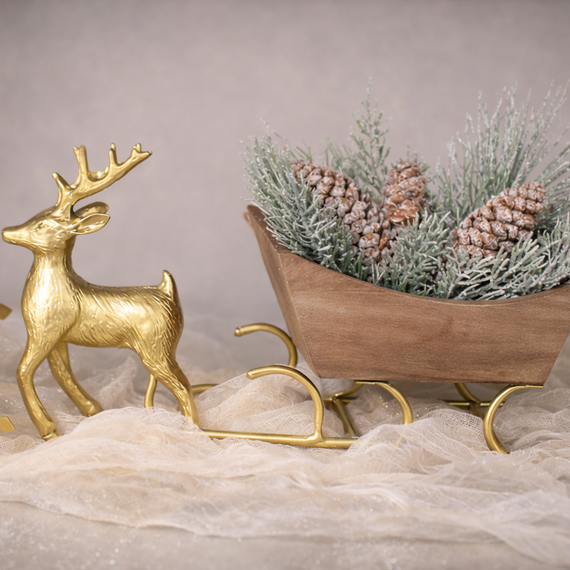 PN113 Pinecones in PVC box 1.5" x 1.5" x 4" PK4