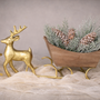 PN113 Pinecones in PVC box 1.5" x 1.5" x 4" PK4