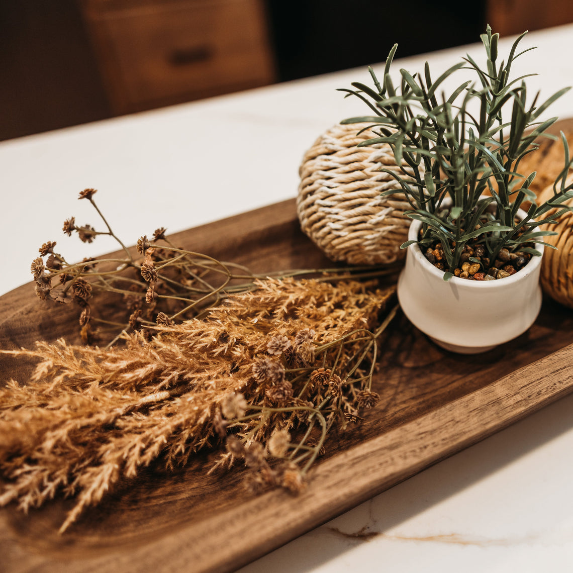 FS151 BR Pampas Grass 23" PK 12