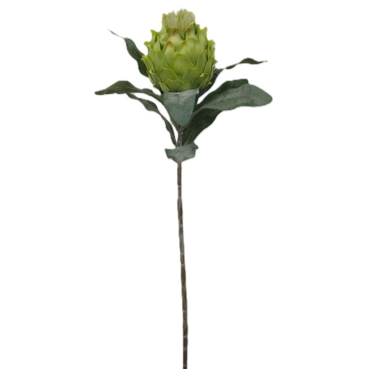 King Protea