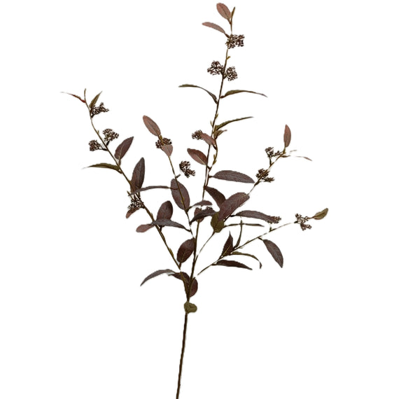 Olive Stem