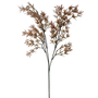 FS102 BR Nandina 35" PK 24