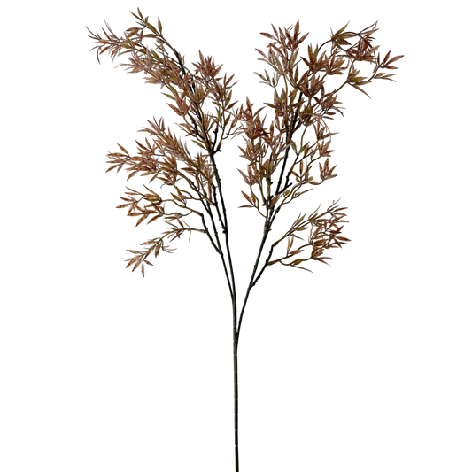 FS102 BR Nandina 34.5" PK 24