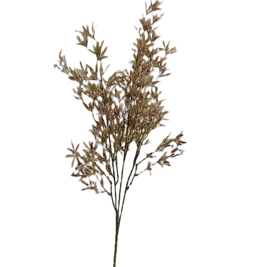 Nandina