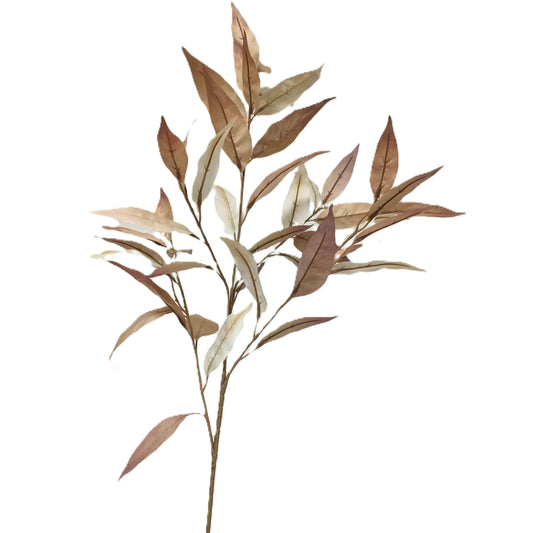 Silver Blade Eucalyptus