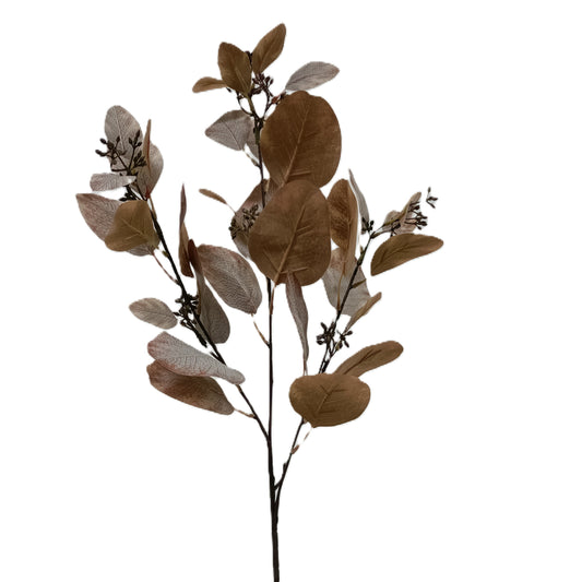 Eucalyptus 33" - Brown