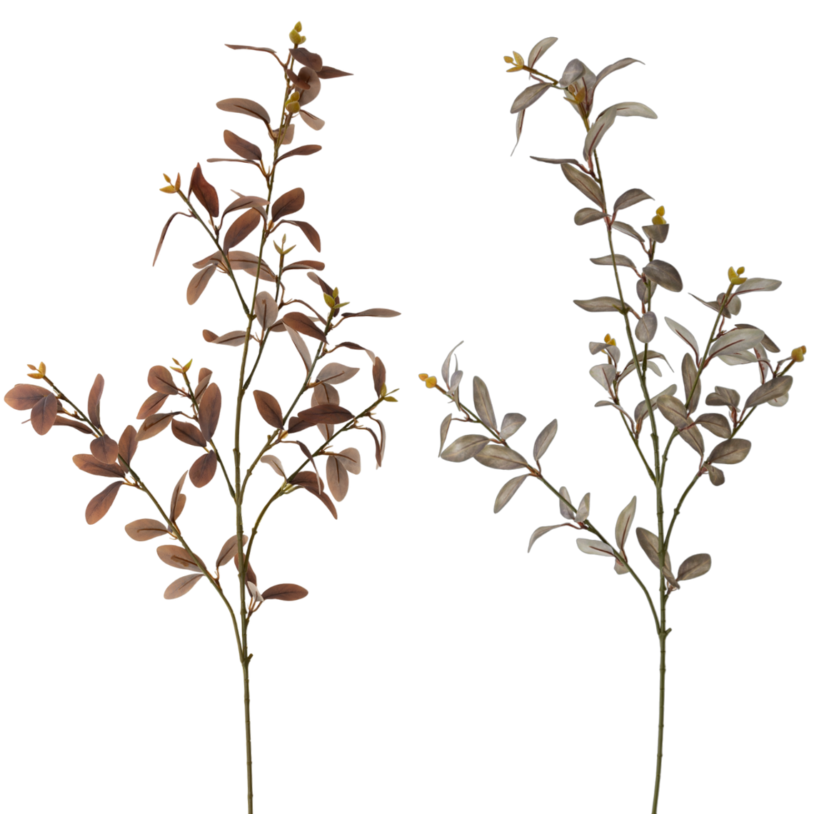 FS106 Cuckoo Leaf 35" PK 12