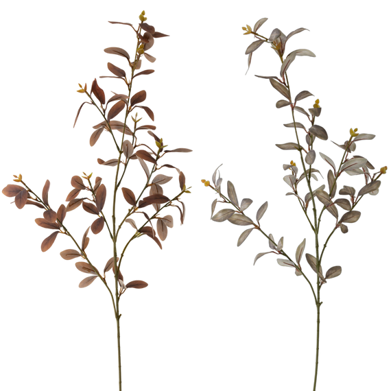 FS106 Cuckoo Leaf 35" PK 12