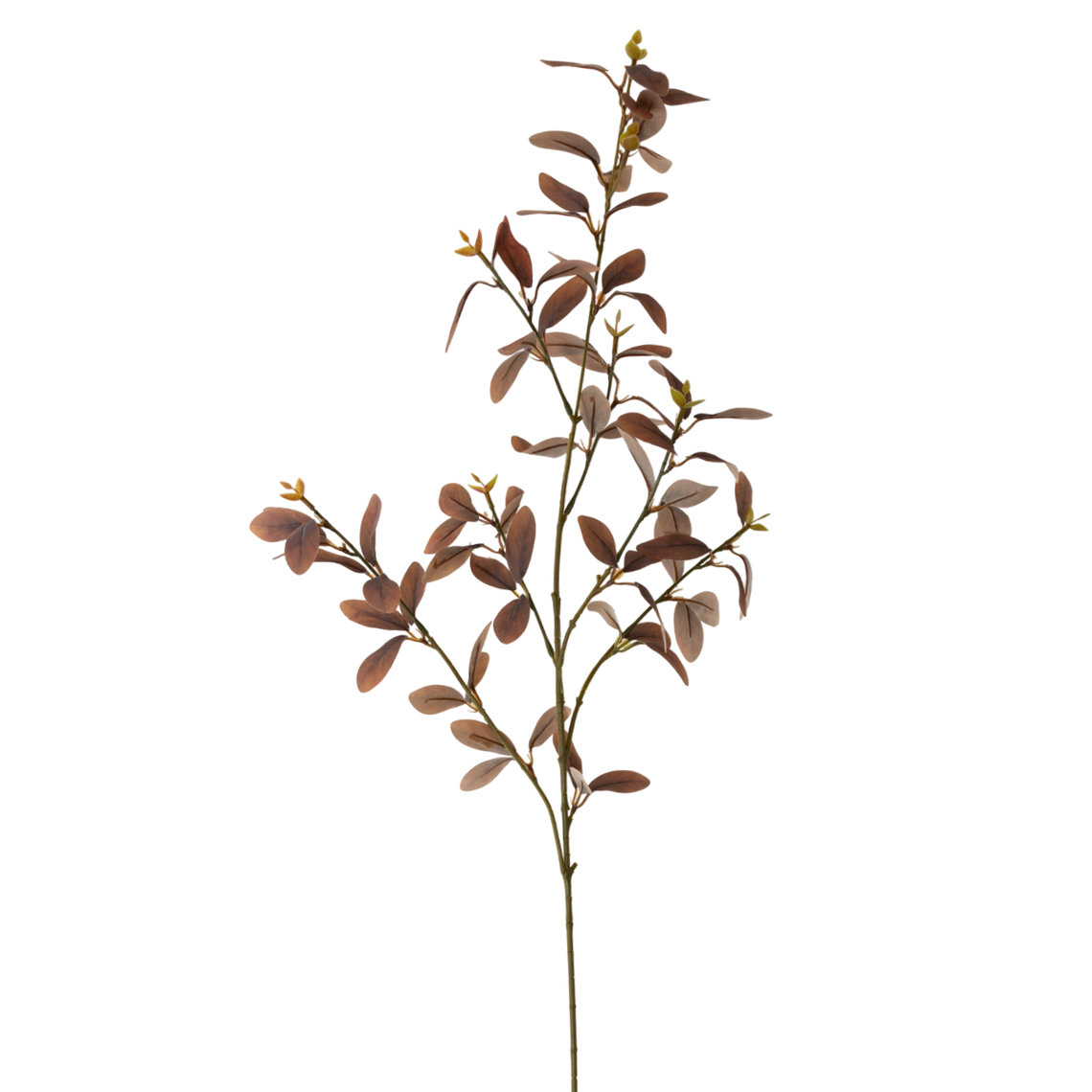 FS106 Cuckoo Leaf 35" PK 12