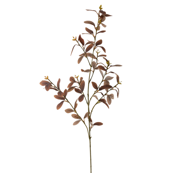 FS106 Cuckoo Leaf 35" PK 12