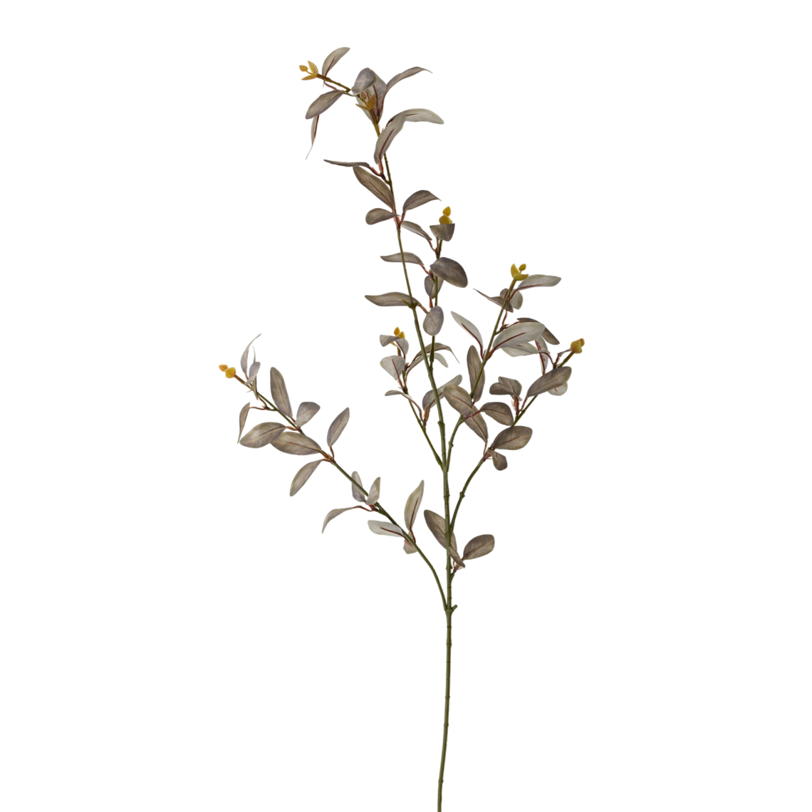 FS106 Cuckoo Leaf 35" PK 12