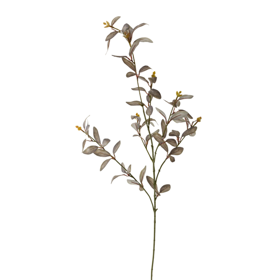 FS106 Cuckoo Leaf 35" PK 12