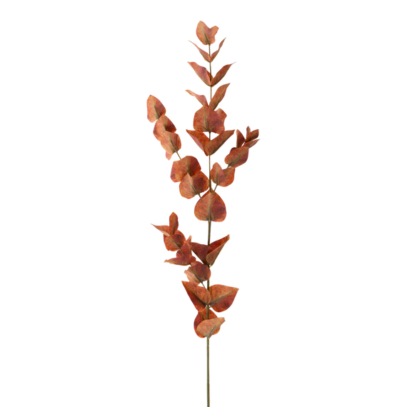 FS107 Eucalyptus 35" PK 12