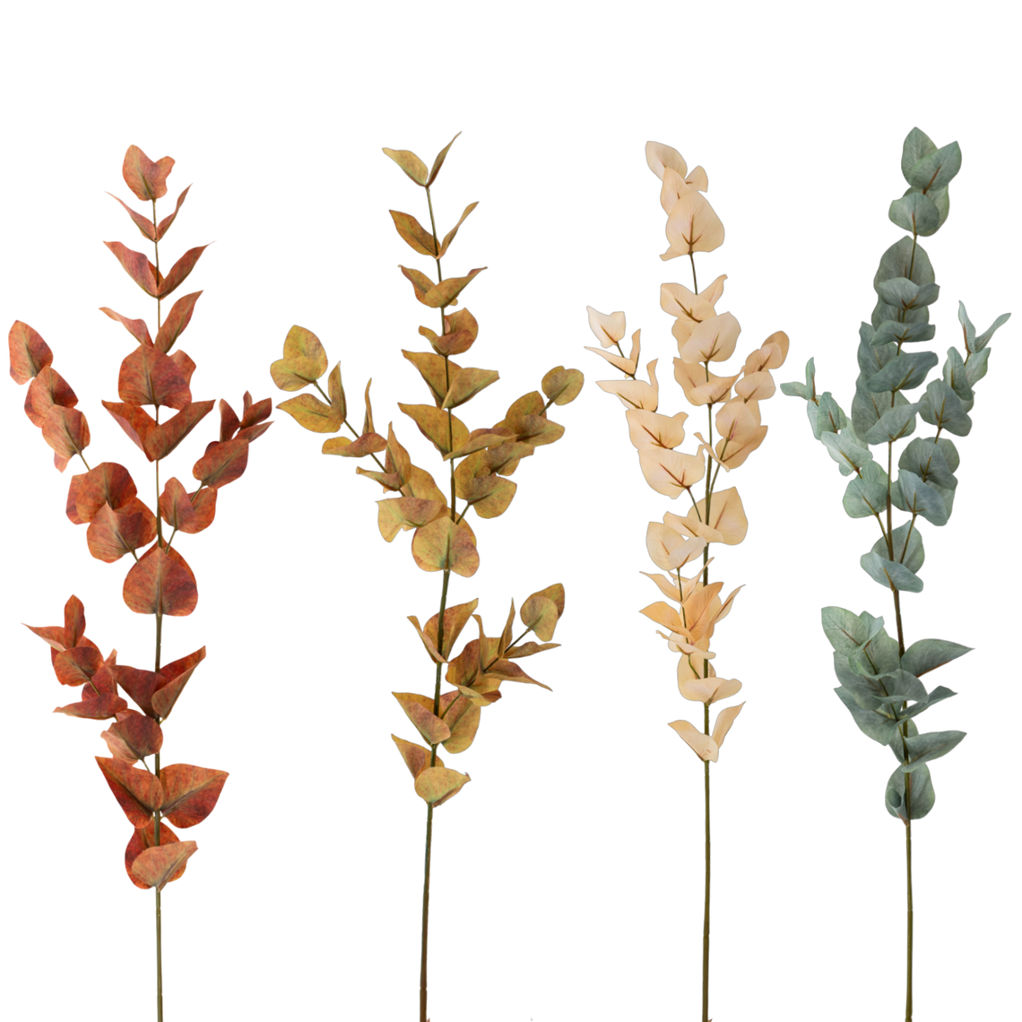 FS107 Eucalyptus 35" PK 12