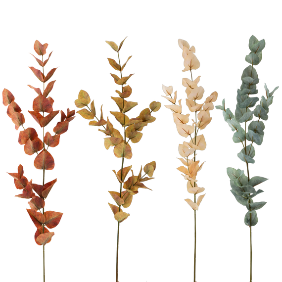 FS107 Eucalyptus 35" PK 12