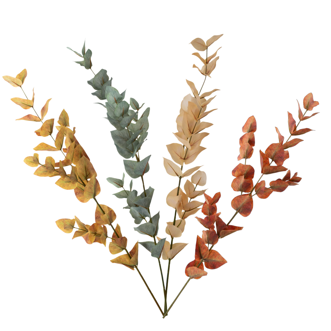 FS107 Eucalyptus 35" PK 12