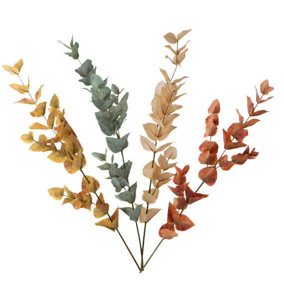 FS107 Eucalyptus 35" PK 12