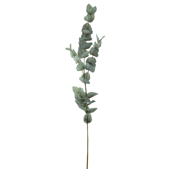 FS107 Eucalyptus 35" PK 12