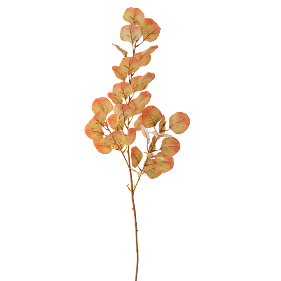 FS109 Eucalyptus 34" PK12