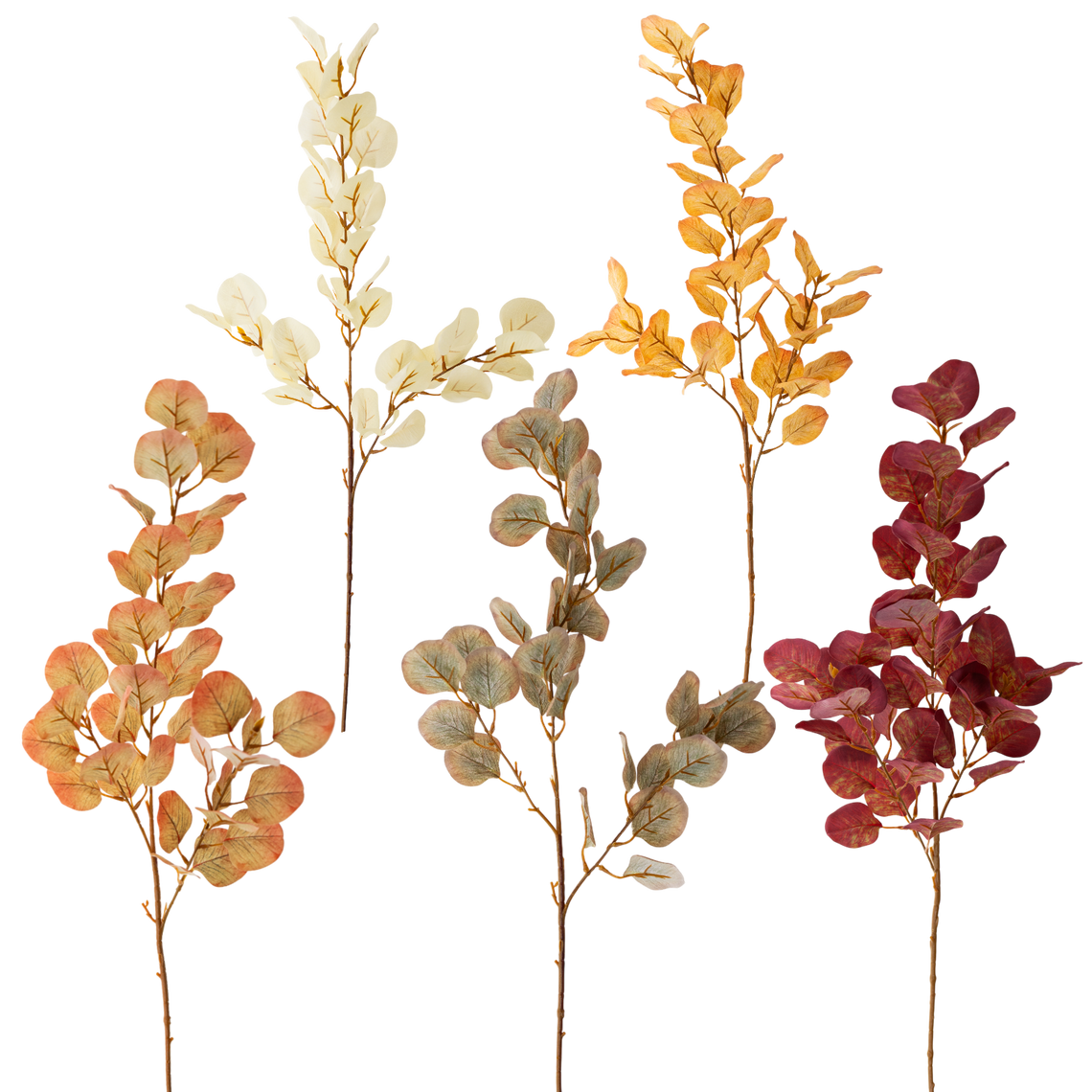 FS109 Eucalyptus 34" PK12