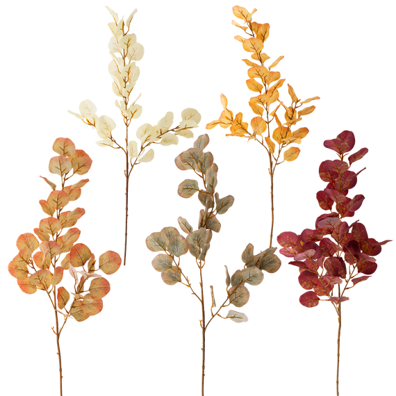 FS109 Eucalyptus 34" PK12