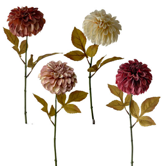 FS110 Dahlia 24" PK 24