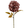 Dahlia