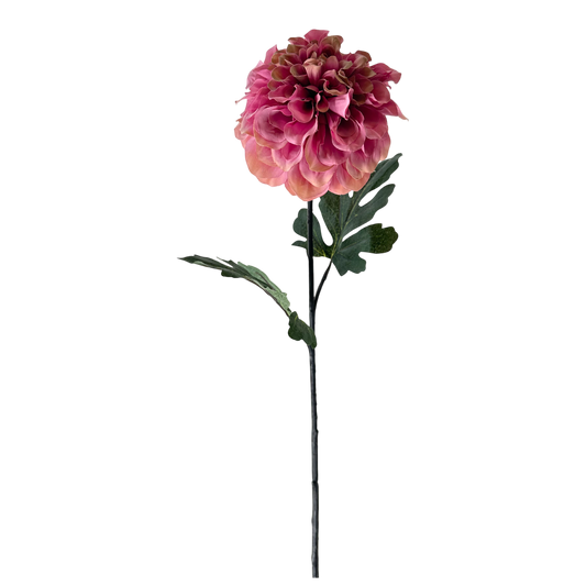 FS112 Dahlia 30" - Pink PK 24