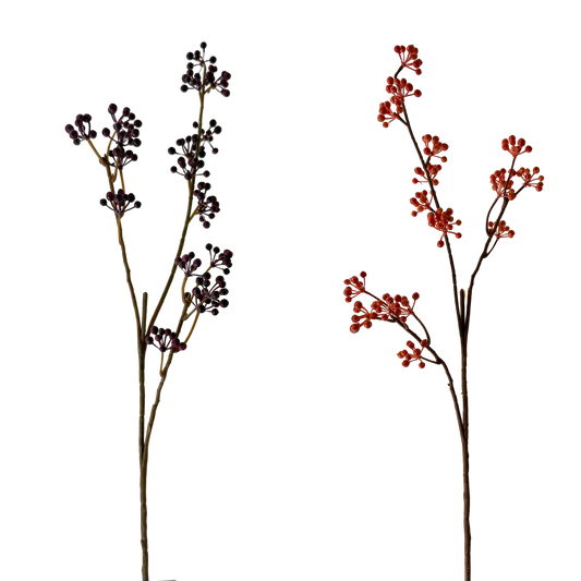 FS113 Berry 32" PK 12