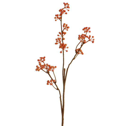 FS113 Berry 32" PK 12