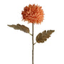 Chrysanthemum