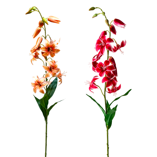 FS118 Lily 46.5" PK 12