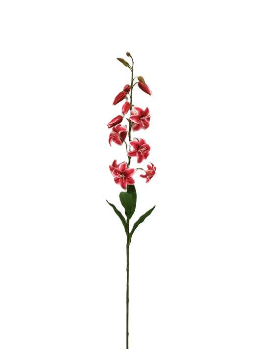 Lily