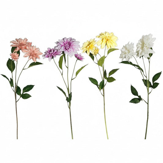 FS122 Dahlia 28" PK 12